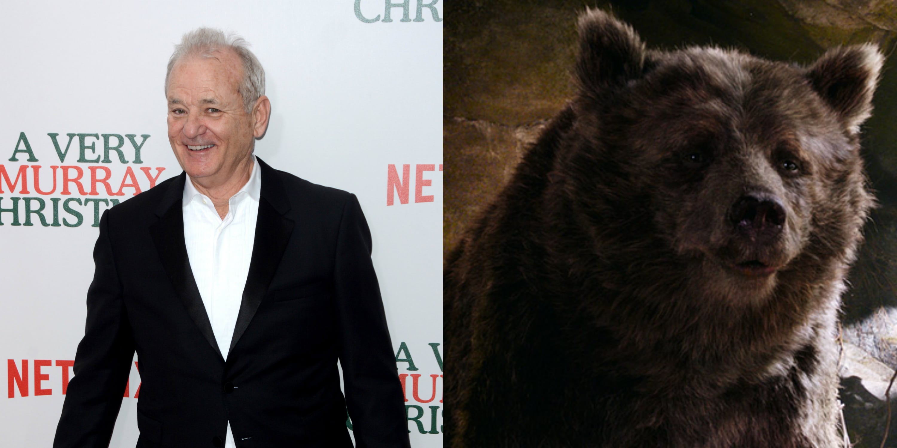 the-jungle-book-actors-youll-see-and-hear-in-the-film-bill-murray-as-baloo