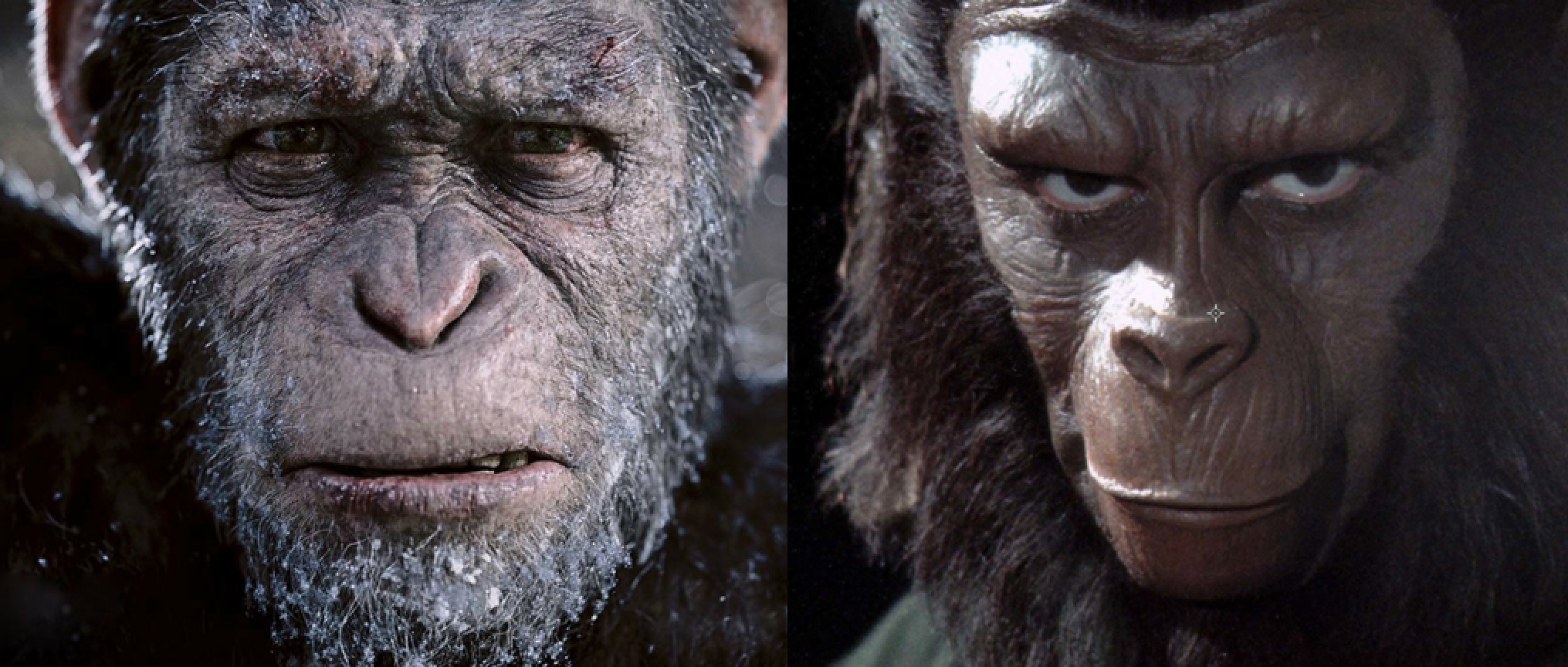 Planet Of The Apes 系列 由 猿人襲地球 講到 猿人爭霸戰 Movie6 熱話