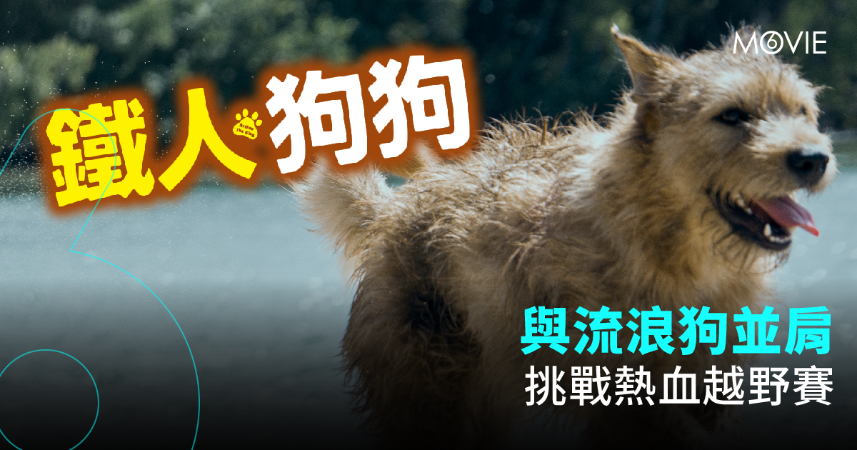 【 MOVIE6 熱話 】《 鐵人狗狗 》與流浪狗並肩 挑戰熱血越野賽